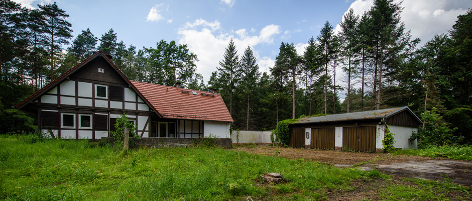 Die Schorfheide nahe Berlin