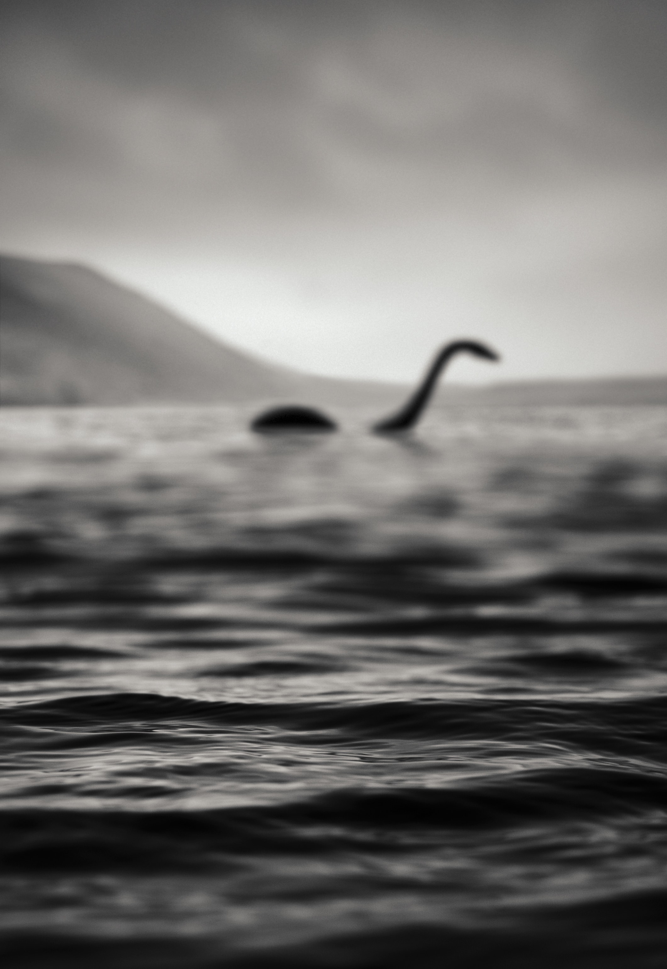 Ist auf diesem Bild das Ungeheuer von Loch Ness zu sehen?